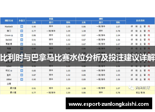 比利时与巴拿马比赛水位分析及投注建议详解