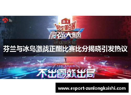 芬兰与冰岛激战正酣比赛比分揭晓引发热议